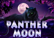 Игровой автомат Panther Moon